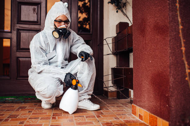 Reliable Cockroach Control contractor in Bonham, TX by Nex Pest Control
